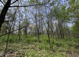 Photo May 12 2024, 3 01 59 PM