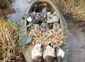 Resized_image000001001