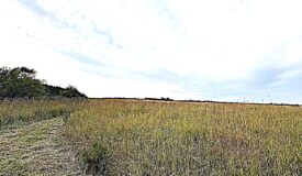 Stafford County KS Prime Hunting Property