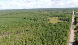 40 acres of recreational land in the Town of Monroe, Adams County