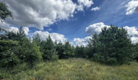 40-acre timber tract in Adams County
