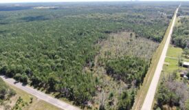 40-acre corner parcel in the Town of Big Flats, Adams County