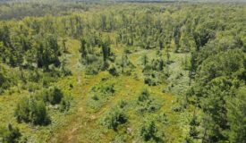 Hunting land for sale in Newaygo County Michigan