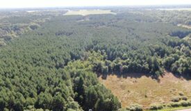 80-acre timber tract in Adams County