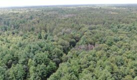 Escape to 80 acres of heavily timbered ground in Adams County