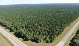 37.77-acre wooded parcel in the Town of Rome