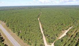 40-acre wooded parcel in the Town of Rome