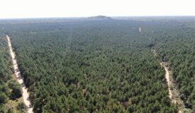 77-acre timber tract in the Town of Rome