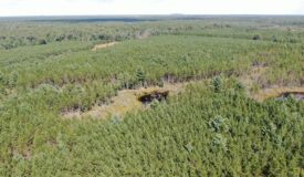 40-acre timber tract in the Town of Monroe, Adams County