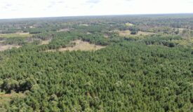 80-acre timbered tract in the Town of Big Flats, Adams County