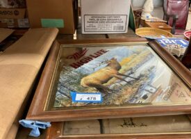 Photo Oct 30 2025, 2 28 02 PM