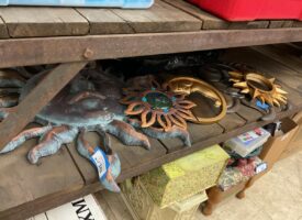 Photo Oct 30 2025, 2 32 32 PM