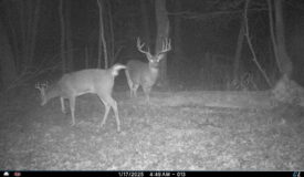 Hunting Camp for Sale in Juneau County, Wisconsin