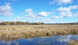 40 Acres of Trophy Whitetail Hunting