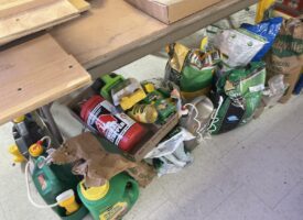 Photo Nov 07 2025, 10 21 00 AM