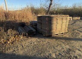 Photo Nov 17 2025, 7 56 14 AM