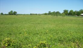 5 acre building site Oxford Wisconsin