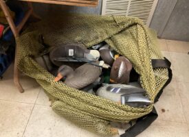 Photo Jan 09 2026, 12 30 41 PM