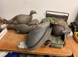 Photo Jan 09 2026, 12 40 34 PM