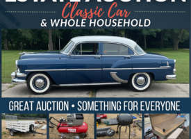 GREAT AUCTION • SOMETHING FOR EVERYONE (1)