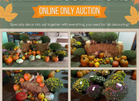 FALL DECORATORS