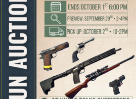 HAMELEAUCTIONS.COM