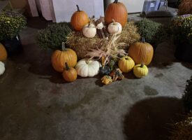 IMG_20260915_153103
