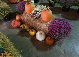 IMG_20260915_153104