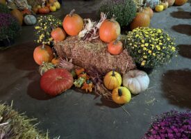IMG_20260915_153106
