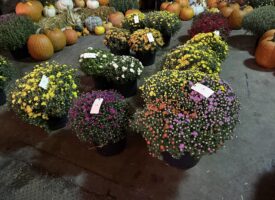 IMG_20260915_153108