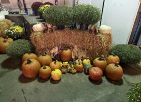 IMG_20260915_153110