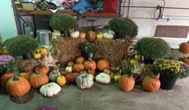 Fall Decorators Online Only Auction