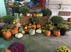 IMG_20260915_153111