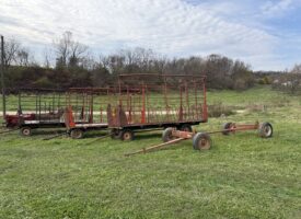 IMG_20261028_112540